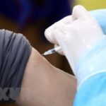 Additional 574 COVID-19 cases confirmed on November 25 hinh anh 1