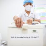 JICA provides 1,600 cold boxes for vaccine preservation for Vietnam hinh anh 1