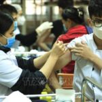 Vietnam counts 10,767,948 COVID-19 cases so far hinh anh 1