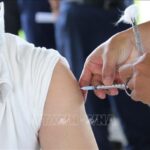 COVID-19: national caseload rises to 10,750,313 on July 5 hinh anh 1