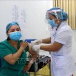 Three new COVID-19 cases, 29 recoveries reported on March 15 afternoon hinh anh 1