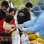 Vietnam reports nine new COVID-19 cases on Feb. 22 afternoon hinh anh 1