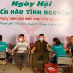 HCM City leads in voluntary blood donation movement: official hinh anh 1