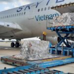 German-donated COVID-19 test kits arrive in Vietnam hinh anh 1