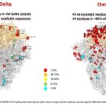 Vietnam works closely with WHO, US CDC to deal with Omicron threat hinh anh 1