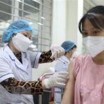 Health ministry asked to closely monitor domestic, int’l pandemic situation hinh anh 1