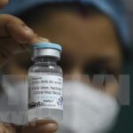 Ministry approves Indian Covaxin COVID-19 vaccine hinh anh 1