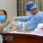 Health Ministry allocates over 650,000 more COVID-19 vaccine doses to HCM City hinh anh 1