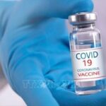 Vietnam-developed COVID-19 vaccine candidates now in clinical trials: official hinh anh 1