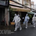 Vietnam records 11,575 new COVID-19 cases on August 26 hinh anh 1