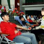 Over 1 million blood units collected in 2015 hinh anh 1
