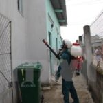 HCM City: Zika virus infections continue to rise hinh anh 1