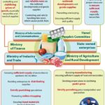 Hanoi ensures sufficient supply of necessities amid COVID-19 developments hinh anh 1