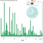 341 Covid-19 patients given all-clear hinh anh 1