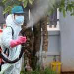 Central localities work to tackle dengue fever hinh anh 1