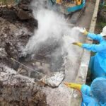 National steering committee set up to combat African Swine Fever hinh anh 1