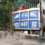 Outbreaks of African swine fever show signs of slowing down hinh anh 1