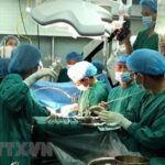 Central, local hospitals fully prepared for Tet hinh anh 1