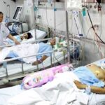 Hanoi takes steps to improve healthcare services hinh anh 1