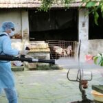 UK helps Vietnam forecast dengue fever epidemic hinh anh 1