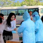 Five imported cases of COVID-19 bring national tally to 1,536 hinh anh 1