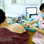 Forum spotlights national anti-zoonosis One Health strategy hinh anh 1