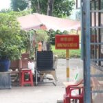 Four new COVID-19 cases detected on December 1 hinh anh 1