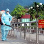 Da Nang city on alert for H7N9 outbreaks hinh anh 1