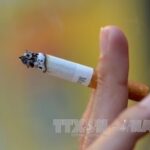 Over 45 percent of Vietnamese males smoke hinh anh 1