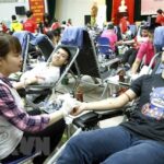 Only 1.68 percent of population donate blood hinh anh 1