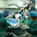 Hanoi man’s organ donation saves patients with fatal diseases hinh anh 1