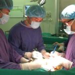 About 6,500 organ transplants conducted nationwide in 30 years hinh anh 1