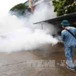 Health ministry steps up efforts to prevent dengue fever outbreak hinh anh 1