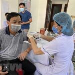 Vietnam reports 242 new COVID-19 cases on November 13 hinh anh 1