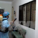 HCM City prevents major infectious diseases hinh anh 1