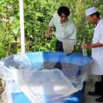 Eight dengue fever prevention teams formed hinh anh 1