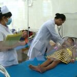 Health ministry urges proactive prevention of dengue fever hinh anh 1