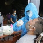 COVID-19: 78 cases reported over past 12 hours hinh anh 1