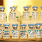 Made-in-Vietnam African swine fever vaccines to be exported to Philippines, Indonesia hinh anh 1