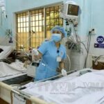 Local healthcare development programme approved hinh anh 1