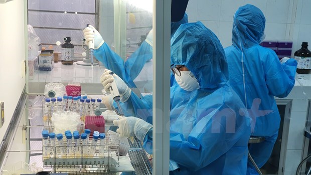 Developing long-term COVID-19 control plan hinh anh 4