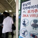 HCM City: No Zika virus found after city-linked RoK case reported hinh anh 1