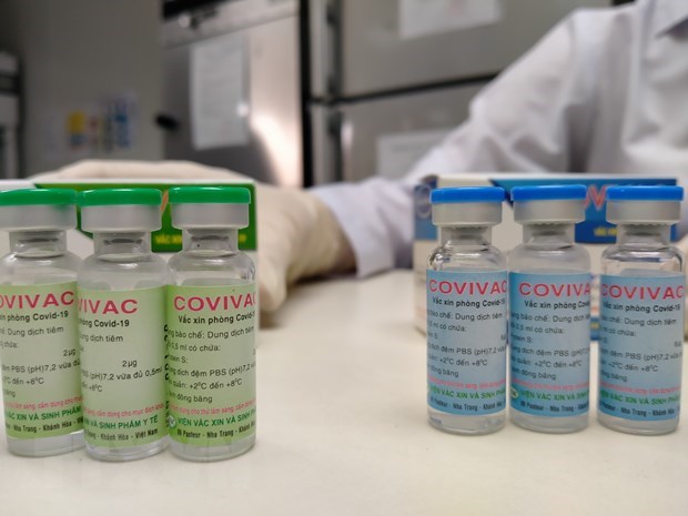 COVID-19 pandemic in review hinh anh 7