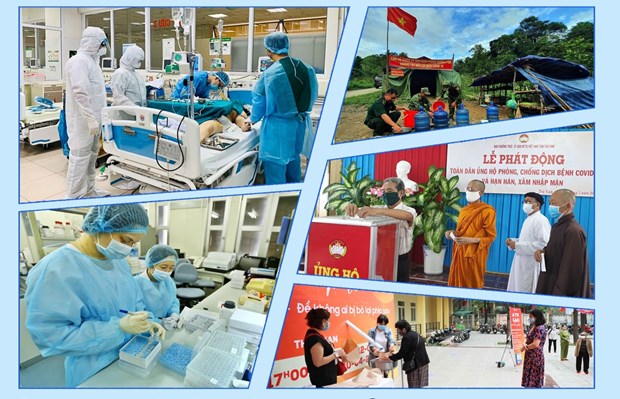 COVID-19 pandemic in review hinh anh 5