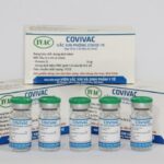 Homegrown candidate vaccine Covivac begins second stage of clinical trials hinh anh 1