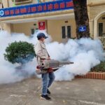 Hanoi advises residents to watch out for dengue fever risks hinh anh 1