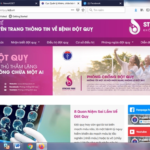 Health sector launches website on stroke prevention and control hinh anh 1