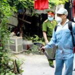 Hanoi puts maximum effort into Zika prevention hinh anh 1