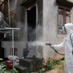 Southern provinces share dengue prevention experience hinh anh 1