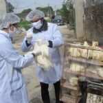 Health sector urges vigilance for bird flu outbreaks during Tet hinh anh 1